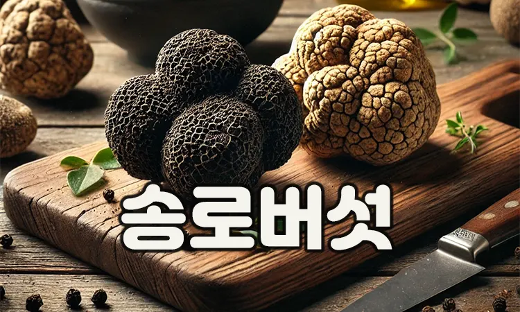 송로버섯 트러플