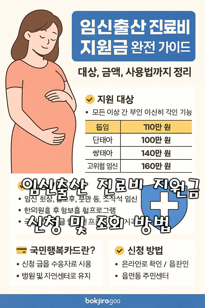 임신출산 진료비 지원금
